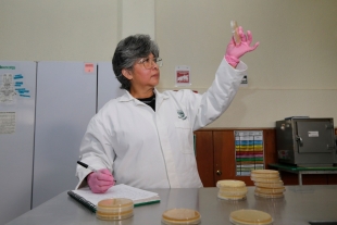 Virginia Guadalupe García Rubio, investigadora UAEMéx, busca mejorar la producción ovina en la región de Amecameca