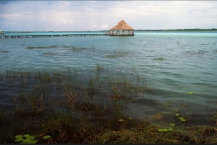 Laguna de Bacalar en riesgo por deficiente manejo ecológico: UNAM