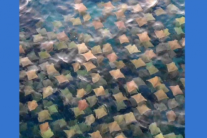 Un dron capta un centenar de extraños cuadrados multicolores en Australia