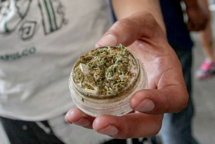 Senado aprueba uso lúdico de la marihuana