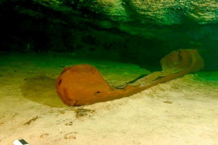 INAH encuentra canoa maya prehispánica que data de hace mil años