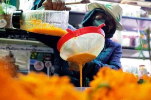 Pulque de cempasúchil en CDMX; te decimos dónde probarlo