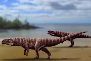 Descubren cocodrilo de 110 millones de años que caminaba en dos patas
