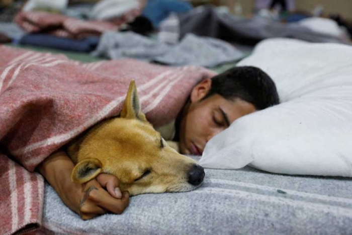 ¡Calor compartido! Crean en Brasil un refugio para recibir indigentes con mascotas