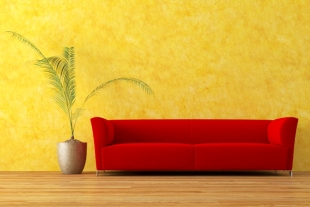 Cinco plantas ideales para eliminar los malos olores de tu hogar