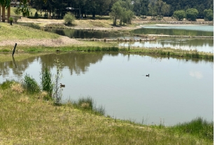 Disminuyen visitas al Parque Sierra Morelos debido al mal estado en que se encuentra