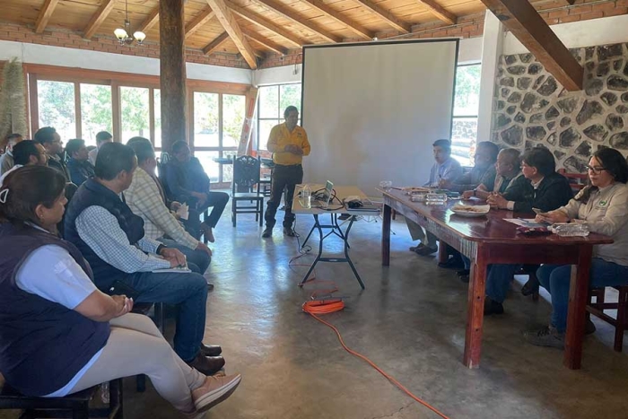 Este documento contempla el impulsar acciones de conservación y restauración en zonas forestales