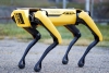 Perros robots patrullan parques de Singapur