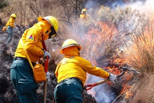 Por semana el área de Protección Civil y Bomberos de Toluca, atiende un promedio de 68 incendios