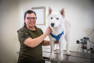 No desperdiciemos la oportunidad de ayudar a algún perro: Nadia Ramírez, veterinaria UAEMéx