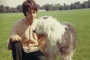 Misterio resuelto: “Martha, My Dear”, de Paul McCartney, está inspirada en su primera mascota