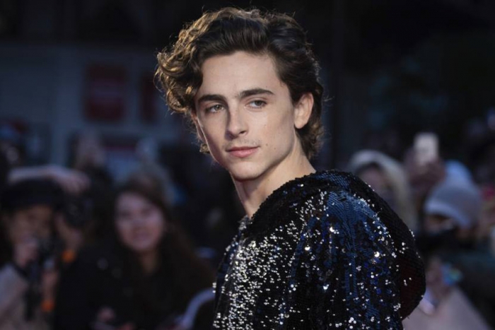 Estilo de Timothée Chalamet lo lleva a la Gala del Met