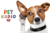 Pet Radio, la estación que acompaña tus mascotas cuando estás fuera de casa