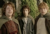 Investigación descubre una especie similar a los 'hobbits'