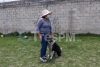 Autoridades municipales continúan investigando la muerte de perros por envenenamiento en Almoloya de Juárez
