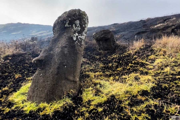 ¡Terrible! Icónicos moai de la Isla de Pascua sufren daño irreparable tras incendio forestal