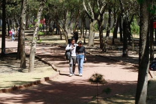 Piden mayor vigilancia ante cristalazos y asaltos en parque Vicente Guerrero