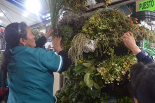 Mexiquenses buscan curas naturales ante padecimientos respiratorios