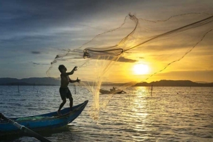 Entre las bajas más notables, la investigación incluye las de los principales productores de pescado