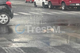 Agua brotando de la coladera en la calle Josefa Ortiz de Domínguez