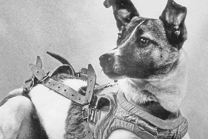 Lanzamiento de “Laika” al espacio cumple 65 años; así fue su viaje