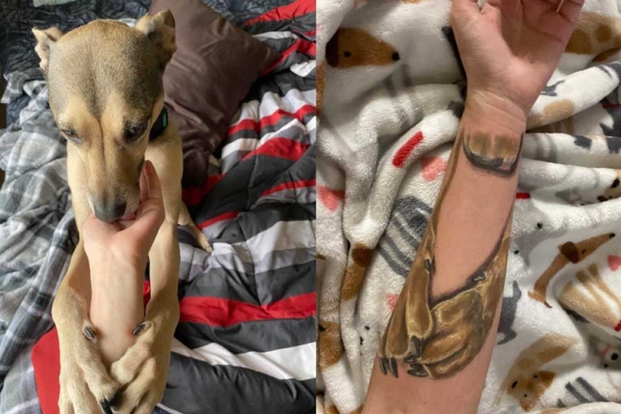 “Siempre conmigo”: así es el conmovedor tatuaje de una joven por su perrito fallecido