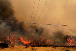 Incendios en Grecia: evacúan a casi 2 mil 500 habitantes