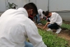 Adolescentes infractores viviendo tras las rejas en la “Quinta del Bosque”