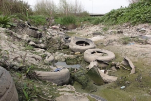 Daños ecológicos en Valle de Toluca serán irreversibles en 40 años