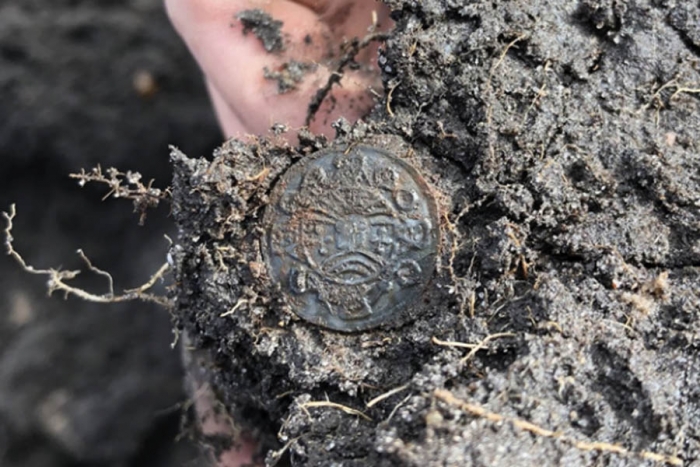 Hallan un tesoro vikingo de hace 1 200 años en Dinamarca