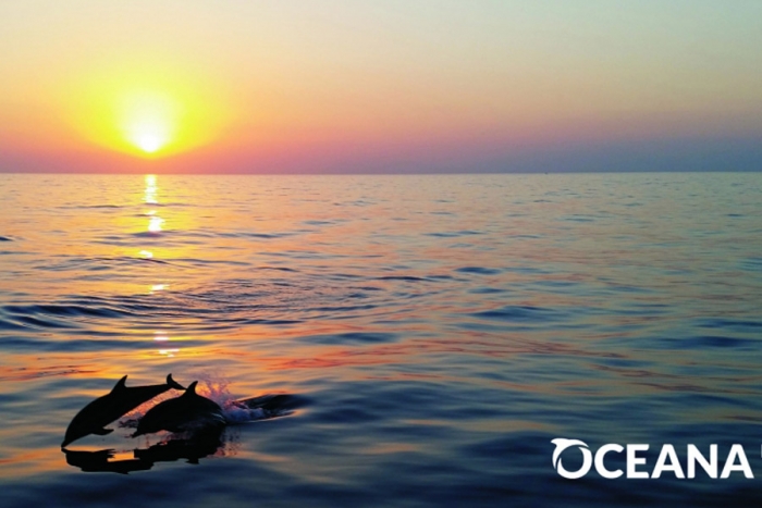 Oceana México busca salvar los mares del plástico