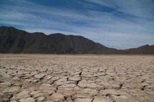 Mal comienzo; este 2024, la sequía en México avanzó hasta el 80%