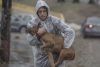 Frente frío 23 deja heladas e inundaciones