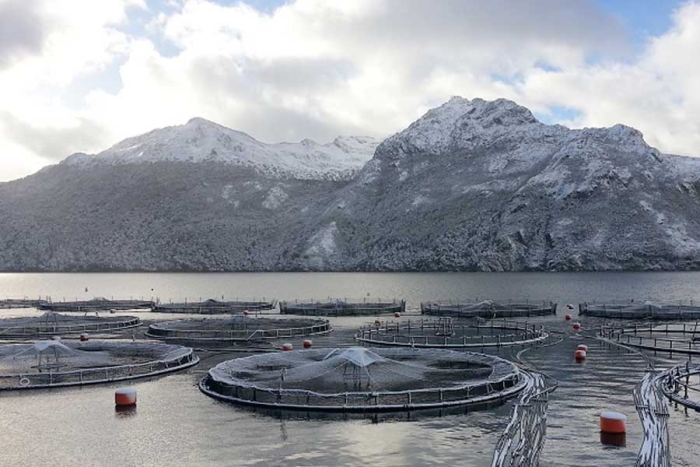 Magallanes: el laboratorio natural chileno para frenar el cambio climático