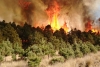 Edoméx ocupa el quinto lugar nacional de mayor número de incendios en 2025