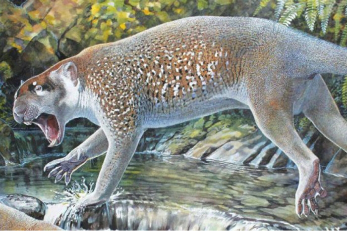 El león marsupial que trepaba árboles en Australia