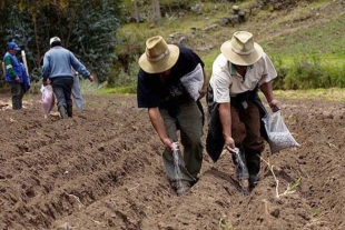 Alza en los combustibles provoca pérdidas en el sector agropecuario