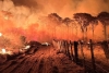 Incendios forestales en países sudamericanos causaron las mayores emisiones de CO2 en 20 años