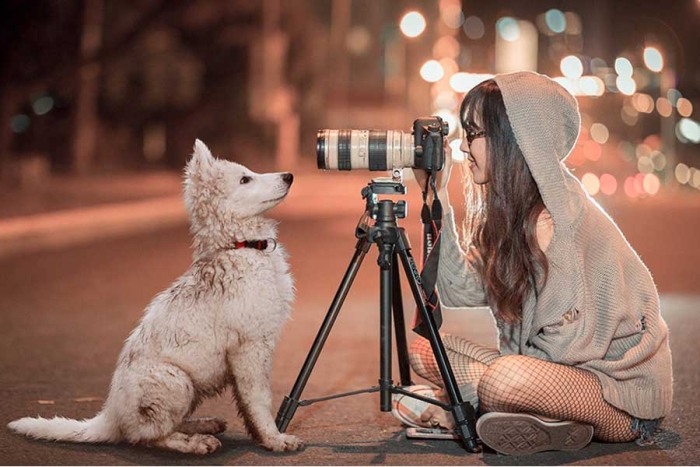¡Arte puro! Conoce a los lomitos ganadores del concurso Dog Photography Awards