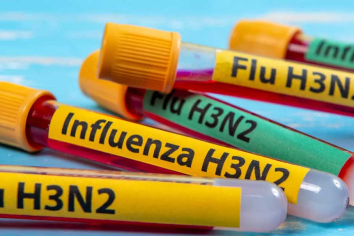 La denominada super gripe es en realidad una variante de la influenza A H3N2, propiciada por el subclado K.