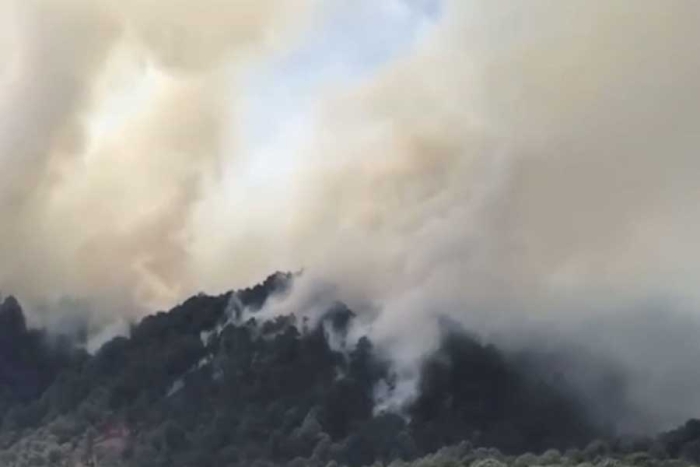 La Secretaría del Campo y Probosque lamentan profundamente el fallecimiento de los heroicos combatientes de incendios forestales