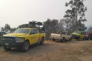 Continúan incendios forestales en municipios del sur del Estado de México