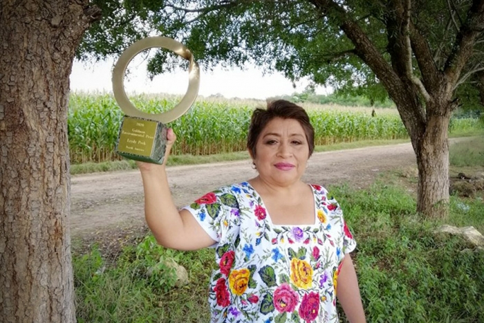 Leydy Pech, la primera mujer indígena maya en ganar un premio ambiental a nivel mundial