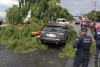Cae árbol sobre auto en la Toluca-Tenango tras fuerte lluvia