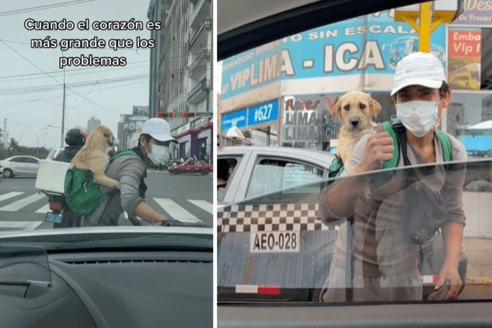 Joven sale a trabajar cargando a su perrito y se vuelve viral