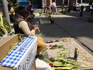 Tejedores de palma en Domingo de Ramos