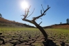 Europa cada vez más cerca de un futuro lleno de sequías extremas