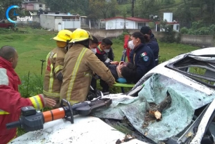 Árbol aplasta un automóvil matando a su conductor