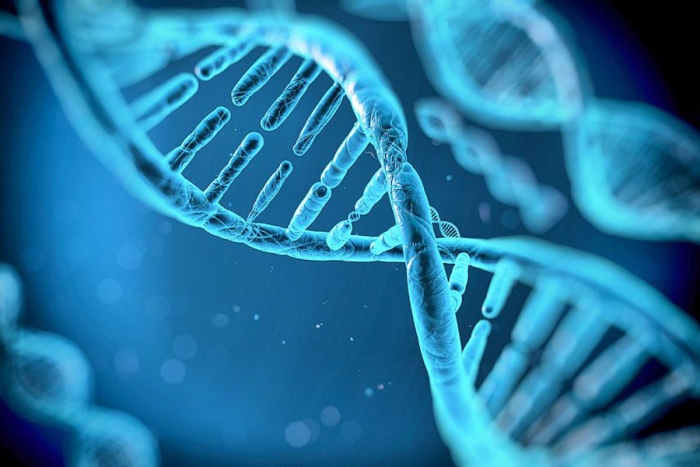 Descubren moléculas capaces de almacenar información genética además del ADN