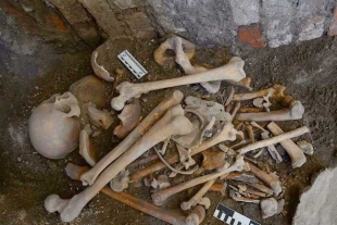 INAH descubre entierros humanos relacionados a la Intervención Francesa